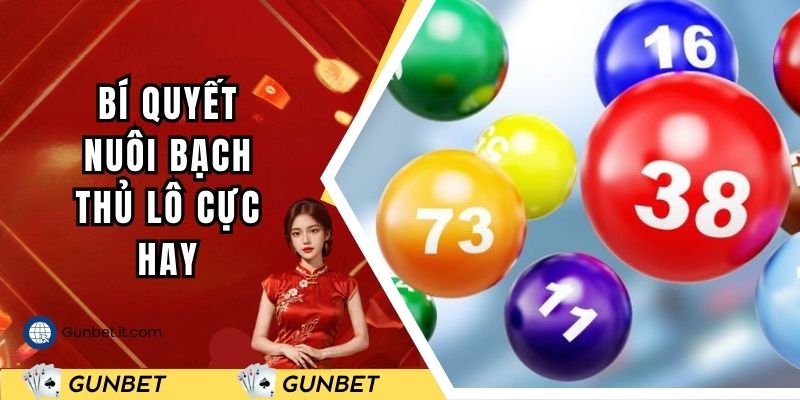 Cập nhật bí kíp nuôi bạch thủ lô 2 ngày cực hay
