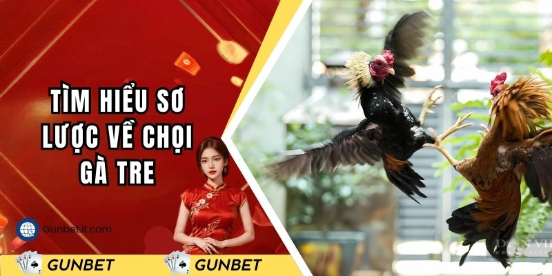 Tìm hiểu sơ lược về chọi gà tre