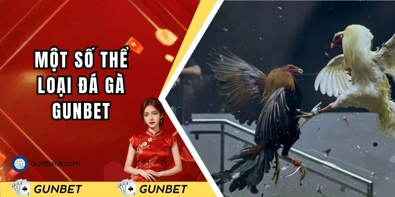 Một số thể loại đá gà đặc sắc tại GUNBET