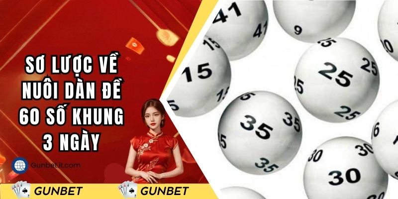 Tìm hiểu sơ lược về nuôi dàn đề 60 số khung 3 ngày